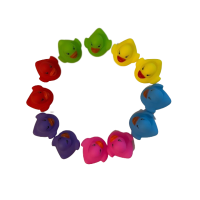12 Gekleurde badeendjes