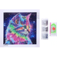 Coloured Cat - 25x25cm