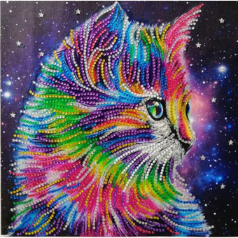 Coloured Cat - 25x25cm