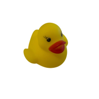 12 Gekleurde badeendjes