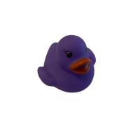 6 Gekleurde badeendjes