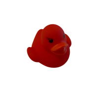 6 Gekleurde badeendjes