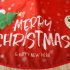 Kerstboomrok - Merry Christmas 2